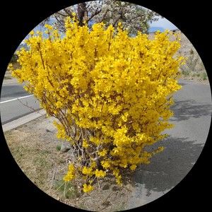 Meet your Posher, Mai